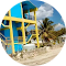 reviewer image